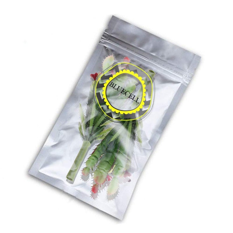 Bluecell 2pcs Real Looking Artificial Cactus Artificial Cacti Plant DIY Material for Home Decoration Flower Arrangement - Image 4